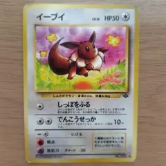 旧裏 イーブイ 第2弾拡張パック ポケモンジャングル