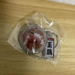 大相撲　王鵬　ダブルチャームメタルキーホルダー