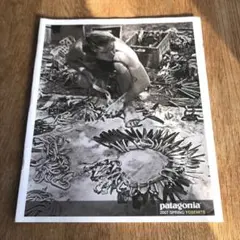 2026年最新】パタゴニア カタログの人気アイテム - メルカリ
