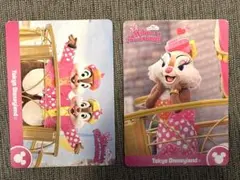 ミニーのパルパルーザ コレクションカード チップ　デール　クラリス