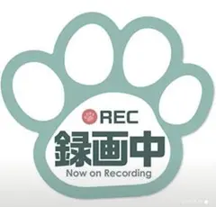 Item thumbnail for item 6d1ab0dc-e8dc-4027-9b9c-af73745c88a1