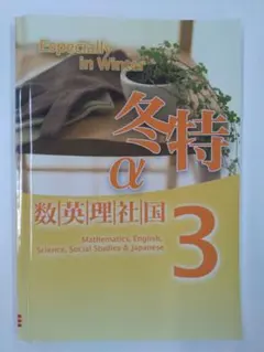 Item thumbnail for item 2470897c-97c5-43ce-8896-0795a5d13567