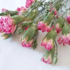 ♡様 リクエスト 4点 まとめ商品