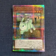 未海域のジャッカロープ クオシク