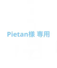 Pietan様 リクエスト 2点 まとめ商品