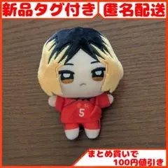 ハイキュー!! ぬいぷりけmini3 孤爪研磨 1点