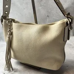 コーチ　COACH ワンショルダーバッグ　　1429 美品
