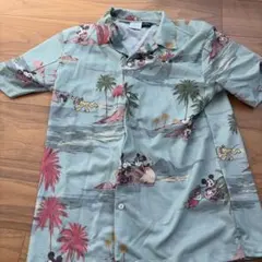 Item thumbnail for item 6e217a9f-4367-4b15-837e-b80e9b9a4304