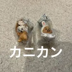 Straykids ガチャ つまんでつなげてますこっと リノ ハン skzoo