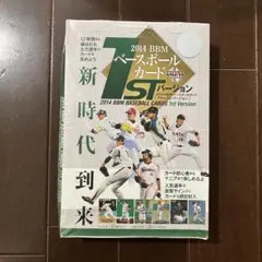 Item thumbnail for item 722bda12-d626-4736-8c62-485ff7cb1816