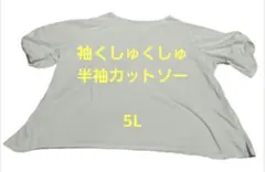 5L 半袖カットソー フレア袖