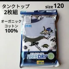 キッズインナー　タンクトップ2枚組　恐竜　120　オーガニックコットン　綿100