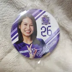 Item thumbnail for item 189ca423-9cb0-4942-b88f-94a51029eaf2