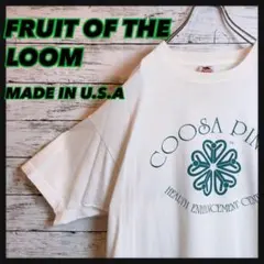 【USA製】ヴィンテージ90sフルーツオブザルーム5企業ロゴグラフィックtシャツ