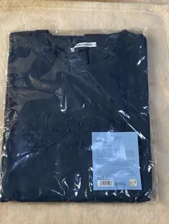 Item thumbnail for item 6cdf3b41-ae3d-44d3-ba32-9e2db0f3d10e