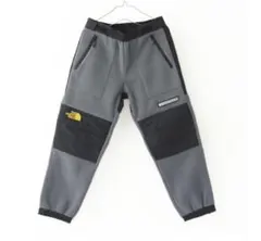 THE NORTH FACE デナリ ノースフェイス　パンツ　S