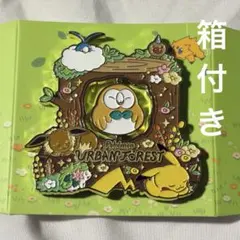 韓国 ポケモン シークレットフォレスト モクローピンバッジ 箱付き