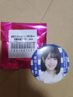 つちのこパンダ様 リクエスト 2点 まとめ商品