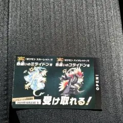色違い ミライドン コライドン