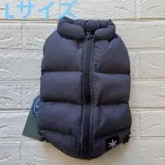 Item thumbnail for item 6f83ea54-f171-41c1-9b81-46f4f0a61135