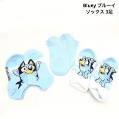 ブルーイ キッズ ソックス キッズ 靴下　アメリカ　ディズニー　Jr 幼児