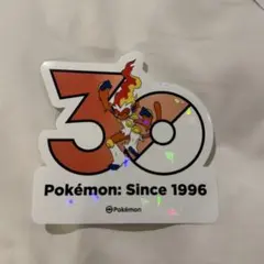 ポケモン 韓国 ポップアップ 30周年記念 ステッカー エースバーン