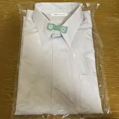 Item thumbnail for item f0c61503-839a-4597-81e3-567fc8b1135e