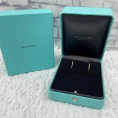 登坂広臣着用 Tiffany & Co. タイタン 新作 ピアス - メルカリ