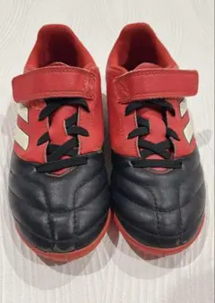 Item thumbnail for item 791612f7-ac51-423a-8c4e-66d4dfb902ed