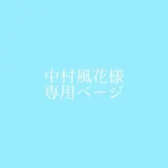 専用ページ