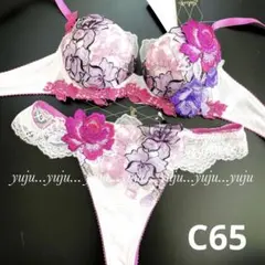 ワコール/サルート 06Gp-upブラソングC65 PU