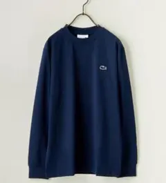 Item thumbnail for item 9bcd3365-f29f-4937-967d-2e317299be8c