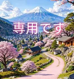 専用
