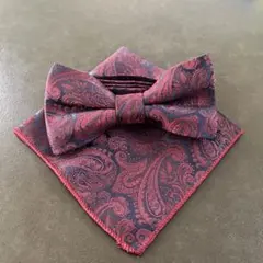 【美品】ペイズリー柄 蝶ネクタイとポケットチーフセット