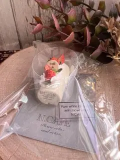 Item thumbnail for item 21f01c2c-6e5b-473f-9a09-cf0f442e1f3d