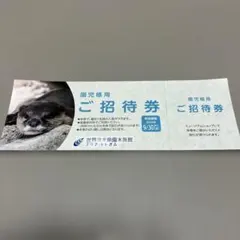 ★新品未使用★世界淡水魚園水族館 アクア・トトぎふ 園児様用ご招待券のサムネイル