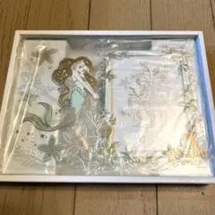 2025年最新】アリエル フォトフレームの人気アイテム - メルカリ