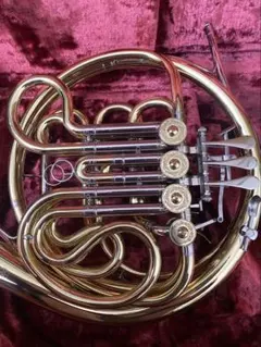 2025年最新】フルダブルホルンの人気アイテム - メルカリ