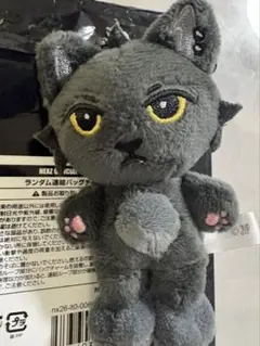 ALD1 リオ LEO マスター ぬいぐるみ 黒猫 未開封 - メルカリ