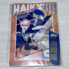 ハイキュー!! ゴミ捨て場の決戦 特典 日向翔陽