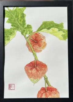 サラサドウダン 】水彩画 ポストカード ハガキサイズ 原画 一点もの