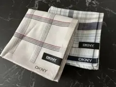 Item thumbnail for item 3dc4b940-7e25-4fd3-891d-24179c6a2fa5