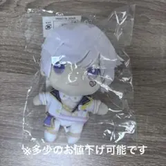 いれいす　しょう　初兎　アニメイト　ぬいぐるみ　キーホルダー