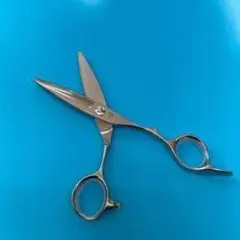 Item thumbnail for item 67c9b51b-af7c-4703-aaee-075b38c36837