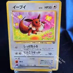 旧裏 イーブイ ● 第2弾拡張パック ポケモンジャングル