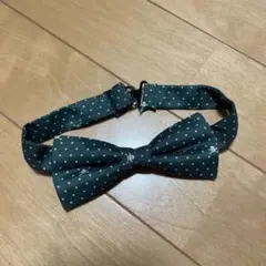 Item thumbnail for item 0743d871-5859-41bb-a161-bd77b5163109