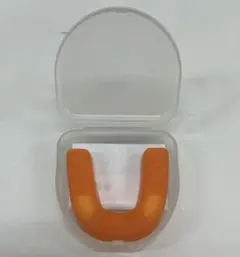 Item thumbnail for item 11790119-a26f-411b-97cc-3515980acb65