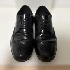 MOONSTAR／SHINARI SR002 KESAUのサムネイル