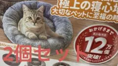 Item thumbnail for item 4ce72b0b-0f41-44e6-84d7-27fff3d64ccd