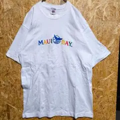 【USA製 90s】フルーツオブザルーム 刺繍 Tシャツ 白 L【A46】